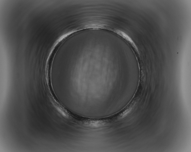 X0000085771035200703301358