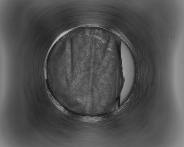 X0000085771036200703301358