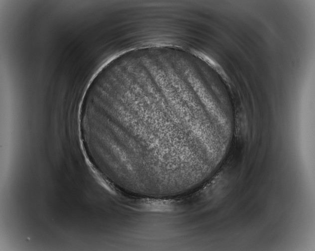 X0000085771039200703301358