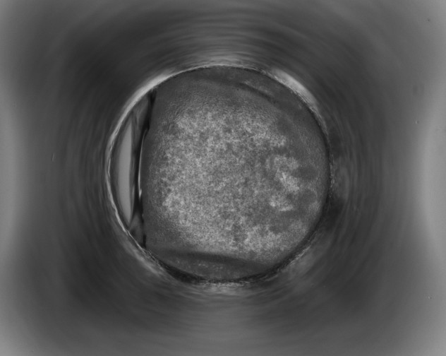 X0000085771043200703301358