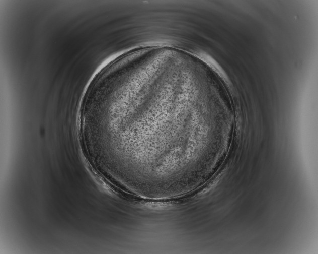 X0000085771044200703301358