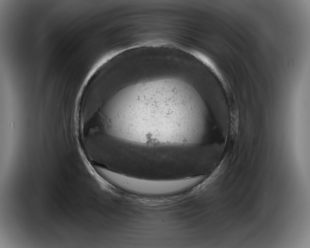 X0000085771046200703301358