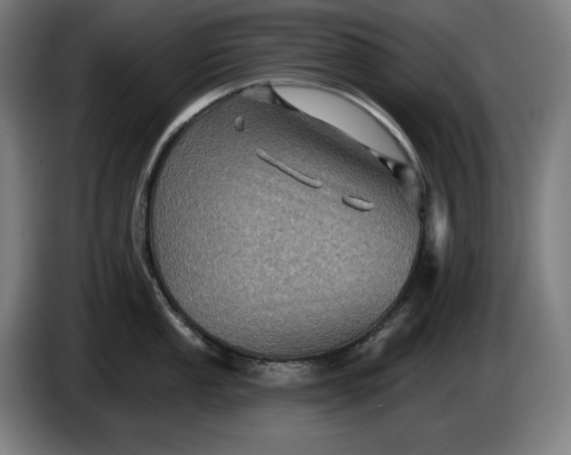 X0000085771053200703301358