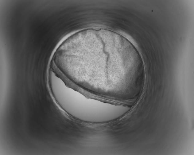 X0000085771056200703301358