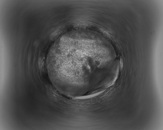 X0000085771059200703301357