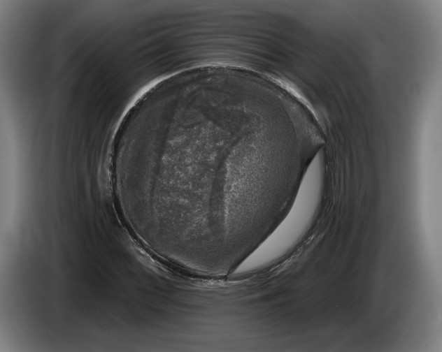 X0000085771068200703301357