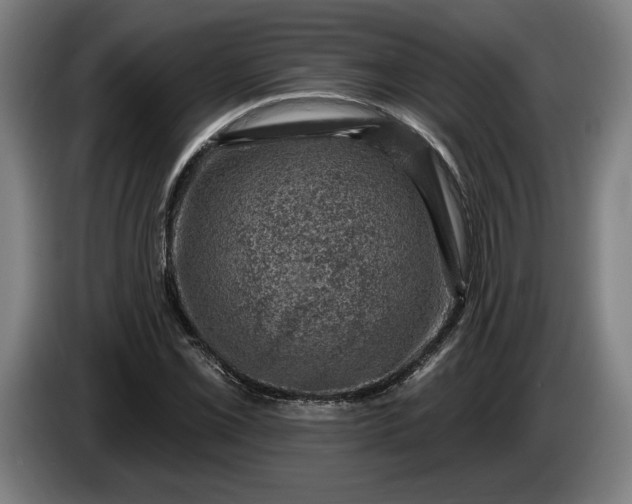 X0000085771069200703301357