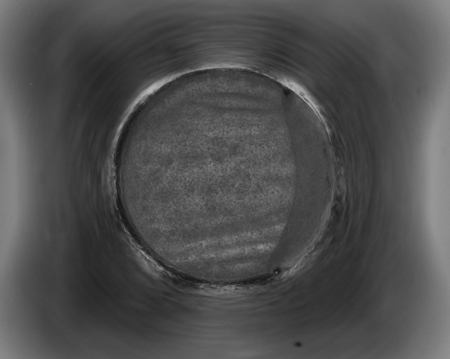 X0000085771072200703301357