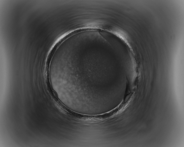 X0000085771077200703301357