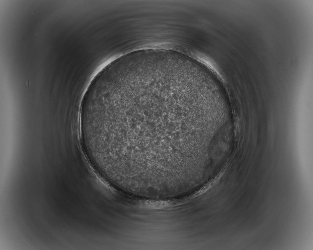 X0000085771079200703301357