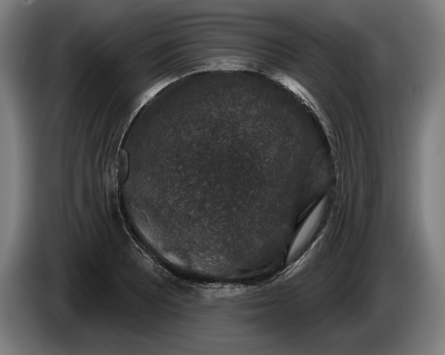 X0000085771081200703301357