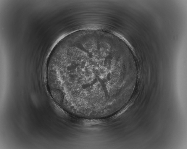 X0000085771083200703301357