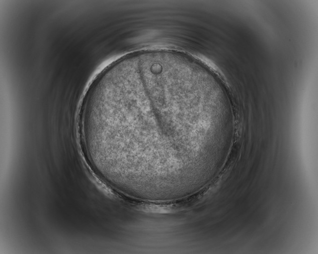 X0000085771086200703301357