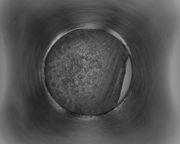 X0000085771091200703301357