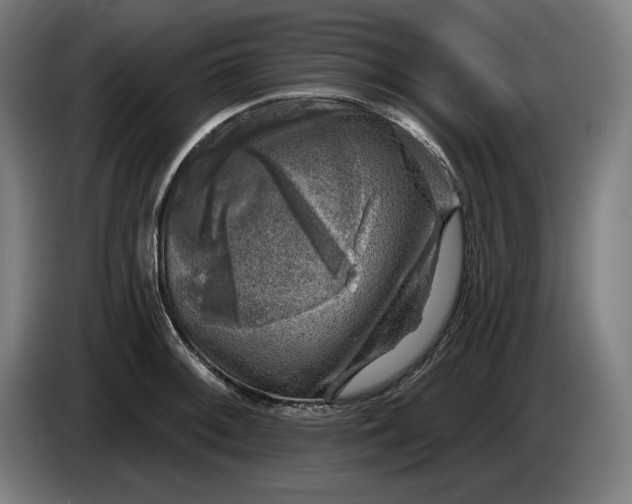 X0000085771092200703301357