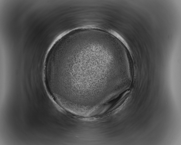 X0000085771093200703301357