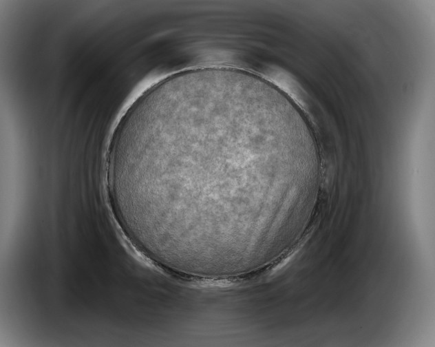 X0000085771094200703301357