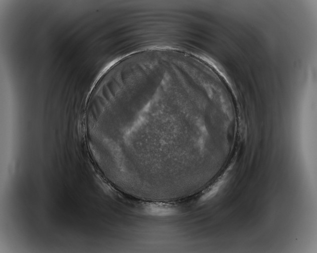 X0000085771097200703301357