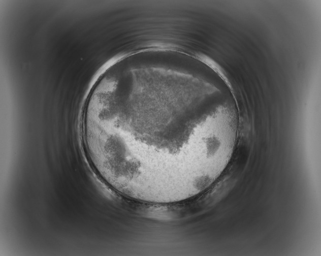 X0000085771098200703301357