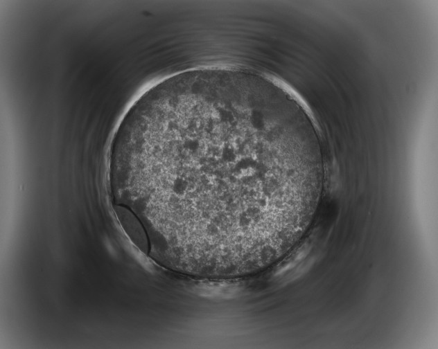 X0000085771099200703301357