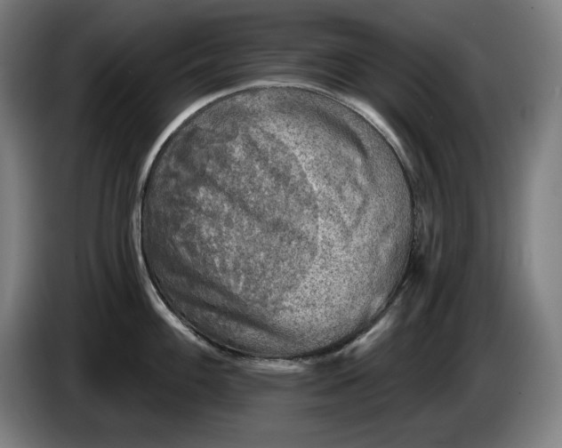 X0000085771100200703301357