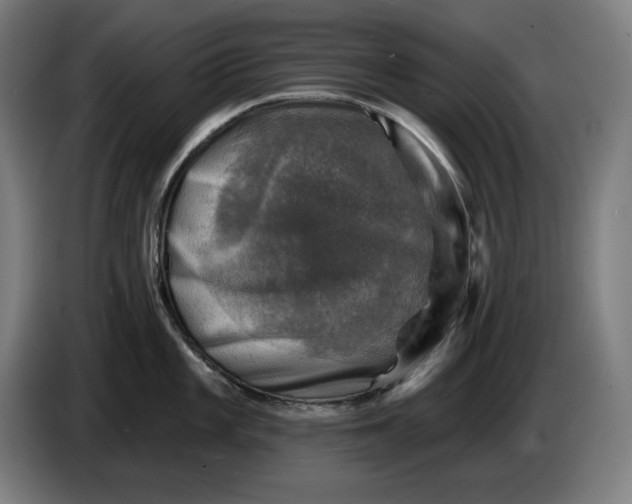 X0000085771101200703301357