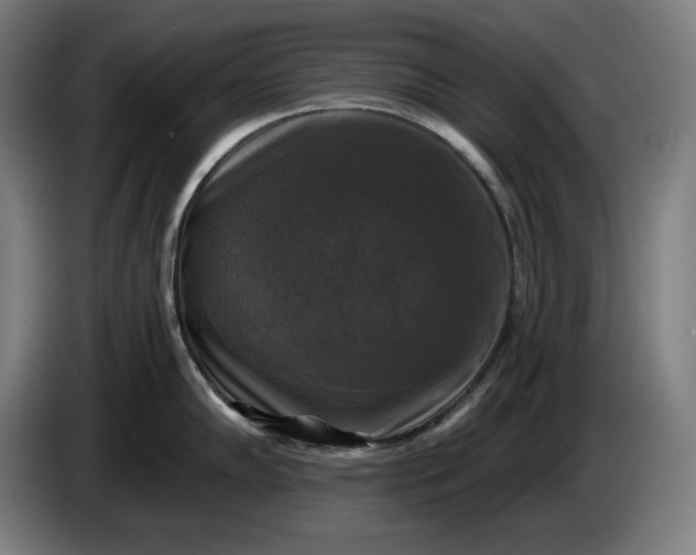 X0000085771102200703301357