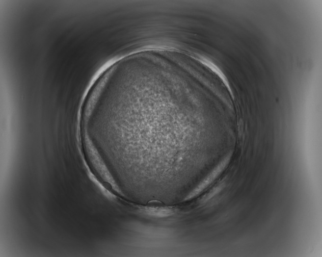 X0000085771103200703301357