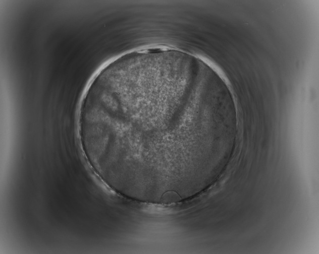 X0000085771104200703301357