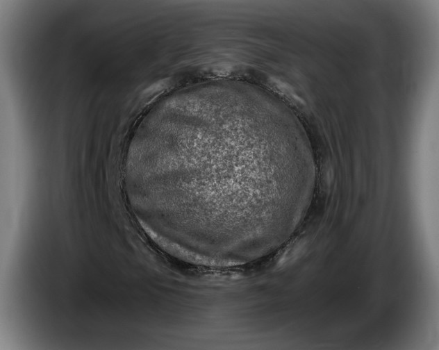 X0000085771105200703301356