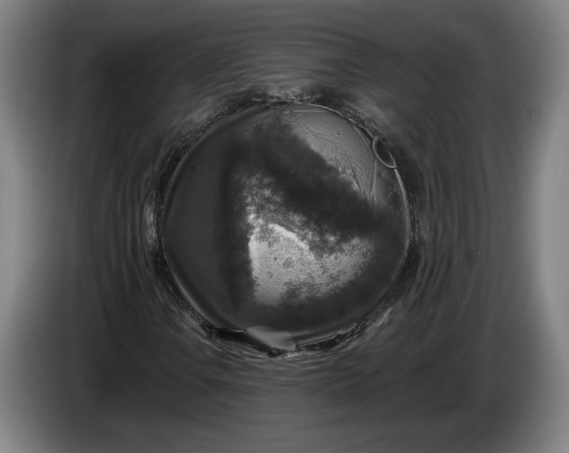 X0000085771106200703301356