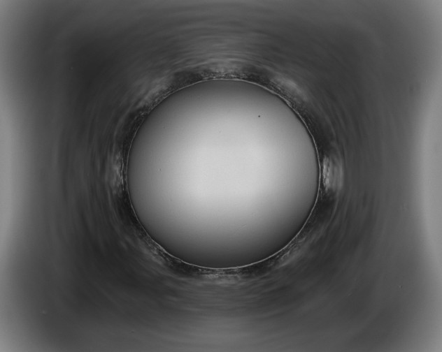 X0000085771107200703301356