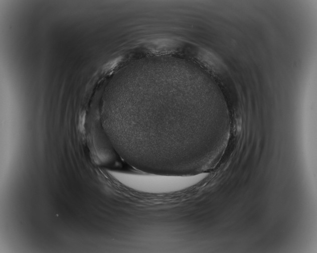 X0000085771108200703301356