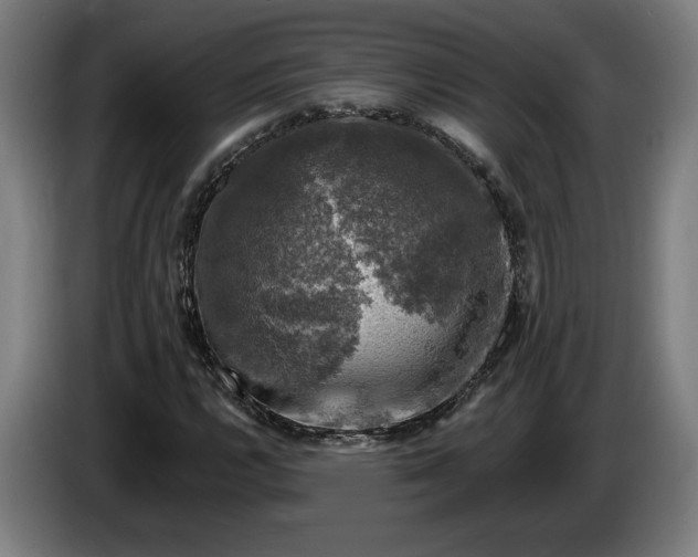 X0000085771112200703301356