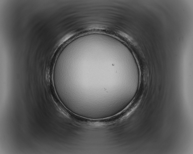 X0000085771113200703301356