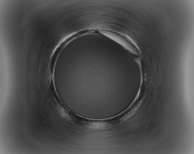 X0000085771117200703301356