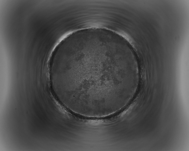 X0000085771118200703301356