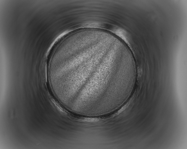 X0000085771123200703301356