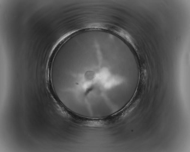 X0000085771125200703301356