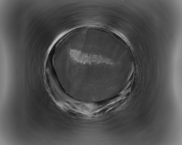 X0000085771128200703301356