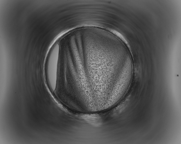 X0000085771133200703301356