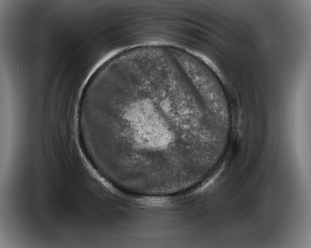 X0000085771134200703301356