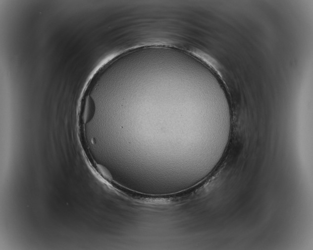 X0000085771135200703301356