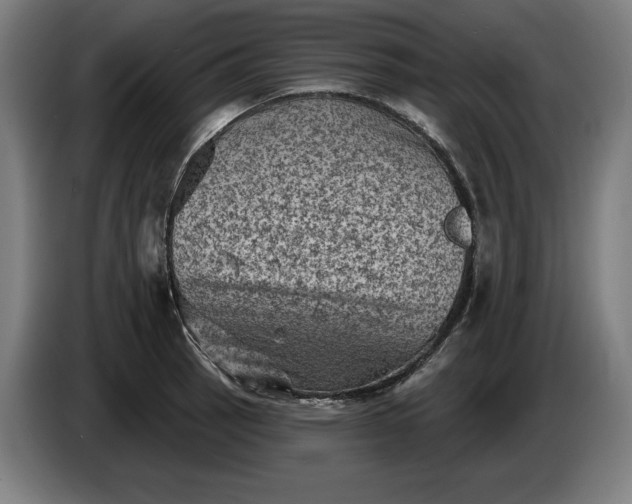 X0000085771137200703301356