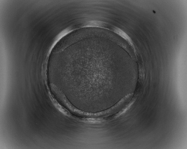 X0000085771138200703301357