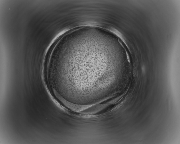 X0000085771139200703301357