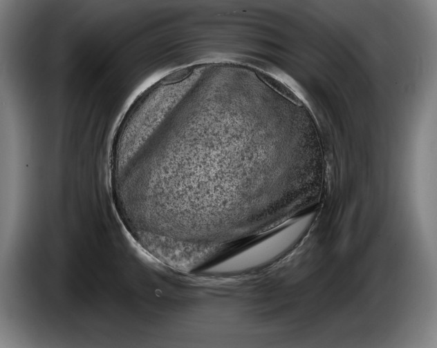 X0000085771143200703301357