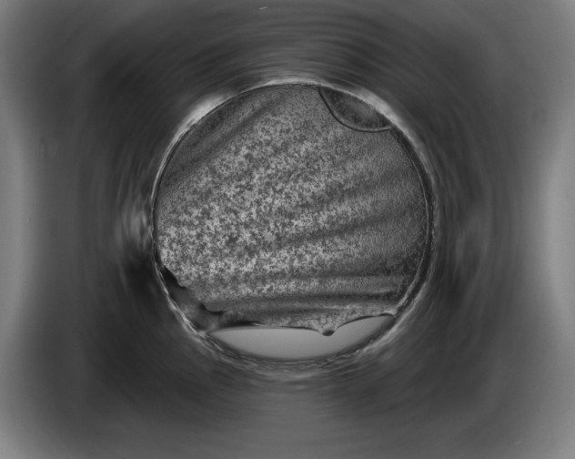 X0000085771145200703301357