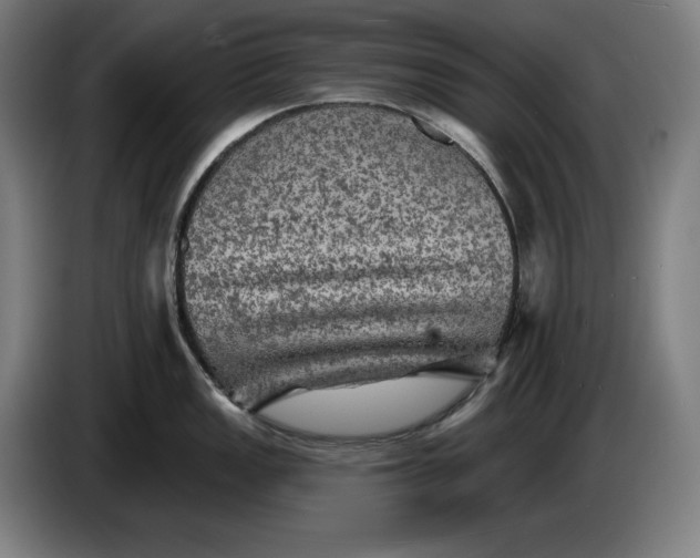 X0000085771149200703301357