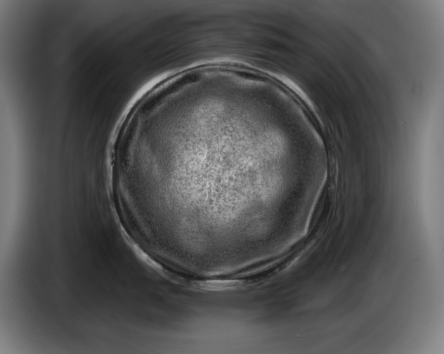 X0000085771151200703301357